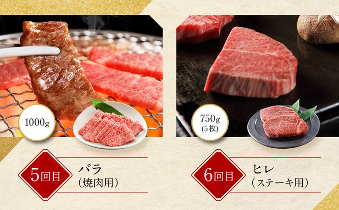 ＜定期便６回＞【京都モリタ屋】京都肉食べ比べ(1)［ 明治2年創業 京都初 牛肉専門店 有名店 高品質 和牛 切り落とし 人気 おすすめ グルメ お肉 牛肉 ブランド牛 京都肉 お取り寄せ 通販 送料無料 ふるさと納税 ］   261009_A-AK020