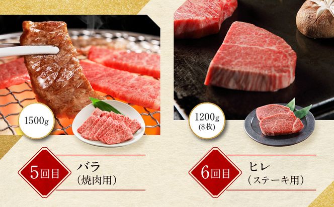 ＜定期便６回＞【京都モリタ屋】京都肉食べ比べ(2)［ 京都 老舗 肉 食べ比べ 人気 おすすめ グルメ おいしい 高級 ブランド ブランド牛 和牛 国産牛 料理 ステーキ すき焼き しゃぶしゃぶ 焼肉 ］ 261009_A-AK021