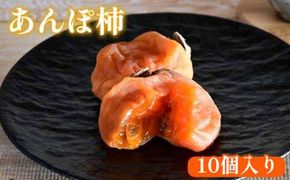 918.あんぽ柿 10個入り 313726_AM012