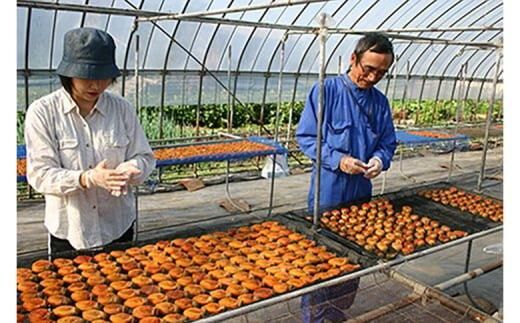 919.ころ柿 10個入り 313726_AM013