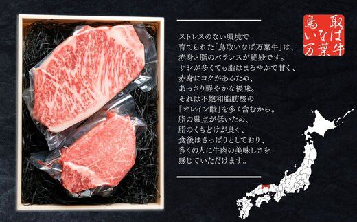 962.【定期便6回】鳥取いなば万葉牛　シャトーブリアン・サーロインステーキセット(各150ｇ) 313726_BK010