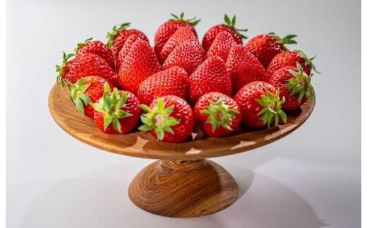 330.希少いちご『とっておき』　※2026年1月中旬頃～2026年3月下旬頃に順次発送予定 313726_AZ005