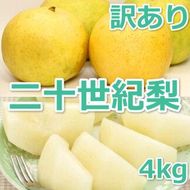 953.【先行予約】【訳あり】二十世紀梨 4kg【梨・なし】≪梨 なし ナシ 果物 フルーツ くだもの 鳥取県北栄町≫※8月下旬頃～9月下旬頃に順次発送 313726_AN003