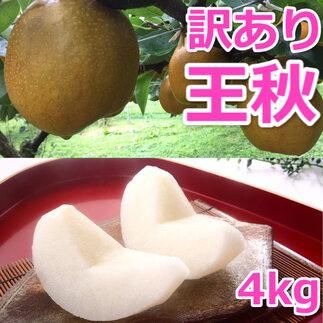 [訳あり]王秋梨 4kg(4〜13玉前後)≪果物 フルーツ くだもの≫ ※2025年10月下旬〜12月上旬頃に順次発送予定 313726