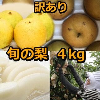 [訳あり]鳥取県産旬の梨セット 4kg ≪果物 フルーツ くだもの≫ ※2025年8月下旬頃〜12月下旬頃に順次発送予定 313726