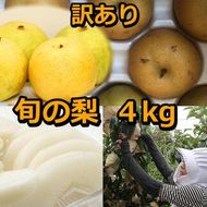 【訳あり】鳥取県産旬の梨セット 4kg ≪果物 フルーツ くだもの≫　※2026年8月下旬頃～12月下旬頃に順次発送予定 313726_AN006