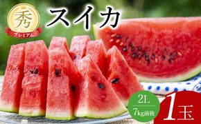【2027年産先行予約】プレミアムスイカ 1玉 ※2027年5月下旬～8月中旬頃に順次発送予定（こちらの返礼品は、大栄西瓜ではありません） 313726_AN037