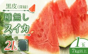 244.黒皮（深緑）種無しスイカ　(大)◇　※6月上旬～7月下旬頃に順次発送予定　※着日指定不可（こちらの返礼品は、大栄西瓜ではありません） 313726_AN040