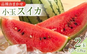 250.【品種はおまかせ】小玉スイカ　2玉◇　※6月上旬～8月中旬頃に順次発送予定 313726_AN045