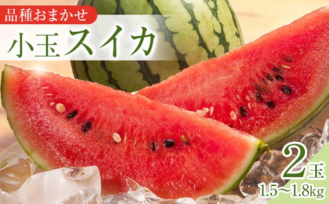 y挧khz250.ys\zyi͂܂zʃXCJ@2ʁ@6{`8{ɏ\ 313726_AN045