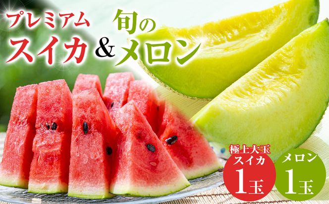 y挧khz251.ys\zv~AXCJƏ{̃1ʃZbgi̕ԗíAhZł͂܂j 6{`7{ɏ\ ws 313726_AN046