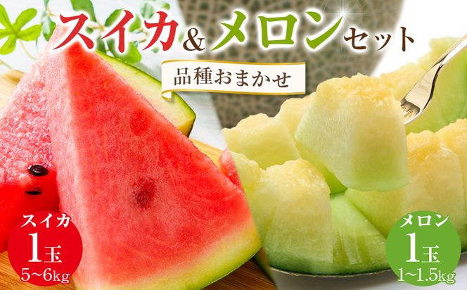 y挧khz252.ys\zyi͂܂zXCJ(5`6kg×1){(1`1.5kgO×1)Zbg挧Y Ⴗ ʕ t[c  挧kh 6{`7{ɏ\i̕ԗíAhZł͂܂j 313726_AN047