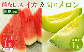 253.黒皮（深緑）種なしスイカと旬のメロンセット（こちらの返礼品は、大栄西瓜ではありません） ※6月上旬～7月下旬頃に順次発送予定★ 313726_AN048