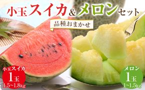 【2027年産先行予約】【品種はおまかせ】小玉スイカ1玉とメロン1玉セット ※2027年6月中旬頃～7月中旬頃に順次発送予定 313726_AN050