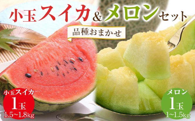 y挧khz255.ys\zyi͂܂zʃXCJ1ʂƃ1ʃZbg 6{`7{ɏ\ 313726_AN050