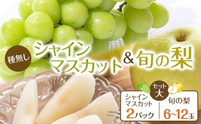 271.【先行予約】シャインマスカット(種無し)と旬の梨セット　大◇　※2026年8月下旬～9月下旬頃に順次発送予定 313726_AN053