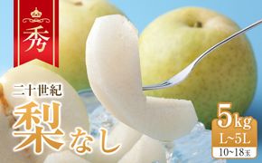 279.【先行予約】二十世紀梨　秀5kg　L～5L　10～18玉前後◇　※2026年8月下旬～9月下旬頃に順次発送予定 313726_AN055
