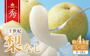 280.【先行予約】二十世紀梨　秀　約4Kg　L～5L　9～18玉前後◇　※2026年8月下旬～9月下旬頃に順次発送予定 313726_AN056