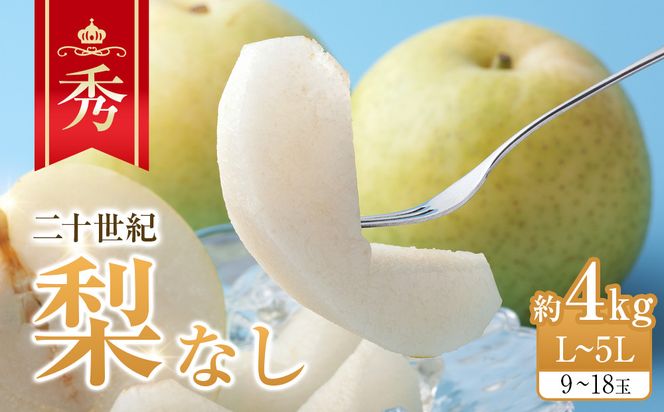 280.【先行予約】二十世紀梨　秀　約4Kg　L～5L　9～18玉前後◇　※2026年8月下旬～9月下旬頃に順次発送予定 313726_AN056