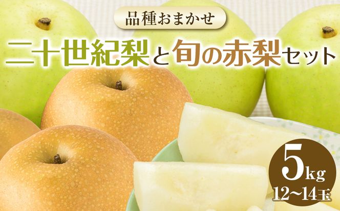 282.【先行予約】二十世紀梨と旬の赤梨セット　５ｋｇ◇　※2026年8月下旬～9月下旬頃に順次発送予定 313726_AN058