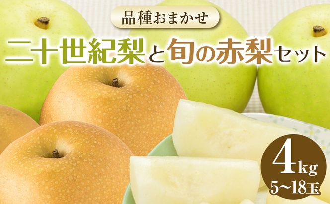 y挧khz283.ys\zyi͂܂z\IƏ{̐ԗZbg\I K Hh L VÐ 񂩂񂹂 V Zbg@2026N8{`9{ɏ\ 313726_AN059