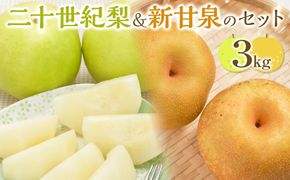 284.【先行予約】二十世紀梨と新甘泉のセット｜梨 なし 二十世紀梨 新甘泉 しんかんせん　※2026年8月下旬～9月下旬頃に順次発送予定 313726_AN060