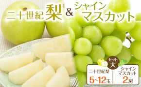 285.【先行予約】二十世紀梨とシャインマスカットのセット　大◇　※8月下旬～9月下旬頃に順次発送予定 313726_AN061