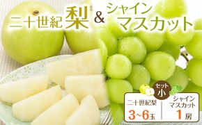 286.【先行予約】二十世紀梨とシャインマスカットのセット　小◇　※8月下旬～9月下旬頃に順次発送予定 313726_AN062