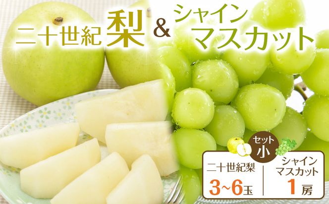 y挧khz286.ys\z\IƃVC}XJbg̃Zbg@@8{`9{ɏ\ 313726_AN062