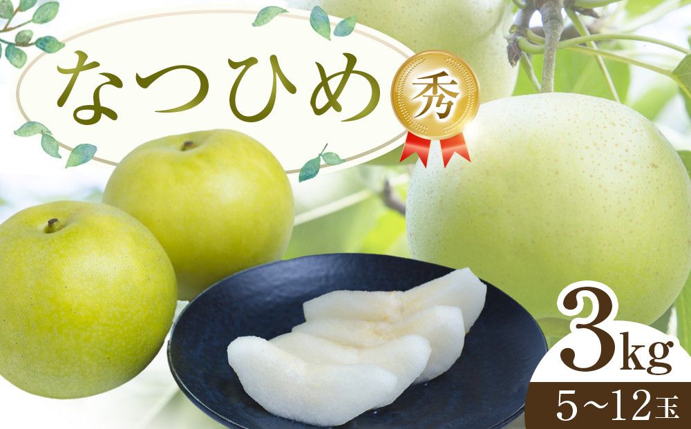 300.[先行予約]なつひめ◇ ※2027年8月中旬〜9月上旬頃に順次発送予定 313726