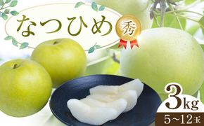 300.【先行予約】なつひめ◇　※2025年8月中旬～9月上旬頃に順次発送予定 313726_AN070