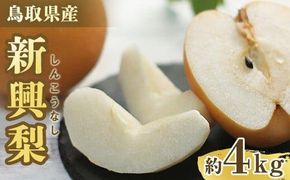 303.【先行予約】新興梨　秀　約4Kg（4～16玉前後） ※10月～11月下旬頃に順次発送予定 313726_AN073