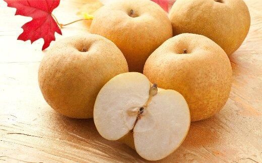 303.【先行予約】新興梨　秀　約4Kg（4～16玉前後） ※10月～11月下旬頃に順次発送予定 313726_AN073