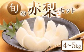 307.【先行予約】旬の赤梨セット　4～5kg前後◇　※2026年8月下旬～12月下旬頃に順次発送予定 313726_AN077