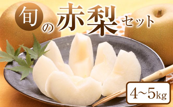 307.【先行予約】旬の赤梨セット　4～5kg前後◇　※2026年8月下旬～12月下旬頃に順次発送予定 313726_AN077