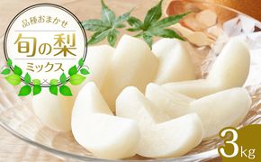 308.【先行予約】【品種はおまかせ】旬の梨ミックスセット 3kg　※2026年8月下旬～12月下旬頃に順次発送予定 313726_AN078