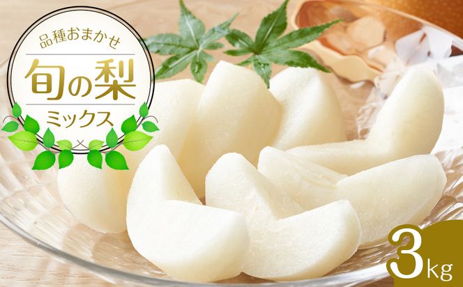 308.【先行予約】【品種はおまかせ】旬の梨ミックスセット 3kg　※2026年8月下旬～12月下旬頃に順次発送予定 313726_AN078