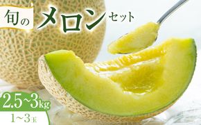 318.【先行予約】旬のメロンセット◇ ※6月上旬～7月下旬頃に順次発送予定 313726_AN079