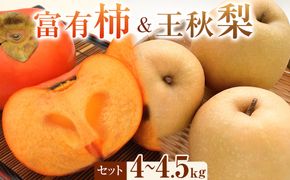 337.【先行予約】富有柿と王秋梨のセット 秀 4kg以上～4.5kg未満　※2026年11月上旬～12月上旬頃に順次発送予定 313726_AN087