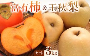 338.【先行予約】富有柿と王秋梨の３kgセット　※2026年11月上旬～12月上旬頃に順次発送予定 313726_AN088
