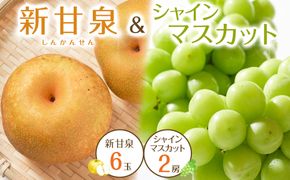 535.【先行予約】新甘泉6玉とシャインマスカット2房｜梨 なし 新甘泉 しんかんせん 産地直送 ぶどう シャインマスカット セット 鳥取県　※8月下旬～9月中旬頃に順次発送予定 313726_AN100