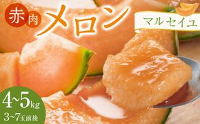 782.【先行予約】赤肉メロン「マルセイユ」※着日指定不可　※5月20日～6月30日頃に順次発送予定 313726_AN117