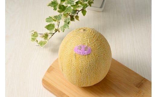 311.【先行予約】幻の「優香メロン」満足の2玉セット　※2026年6月下旬頃より順次発送予定 313726_AS002