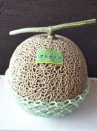 783.【先行予約】青肉メロンの新星「クレセントメロン」満足の２玉セット　※2026年７月中旬より順次発送予定 313726_AS009