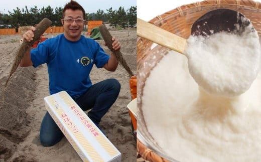 321.≪先行受注≫ ねばりっこ 3〜4本 | 新芋 ながいも 長芋 鳥取県産 鳥取県オリジナル品種 山芋 ※2025年11月上旬〜2026年4月中旬頃に順次発送予定 313726