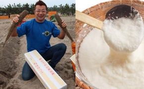 321.≪先行受注≫ ねばりっこ　3～4本 ｜ 新芋 ながいも 長芋 鳥取県産 鳥取県オリジナル品種 山芋　※2025年11月上旬～2026年4月中旬頃に順次発送予定 313726_AN080