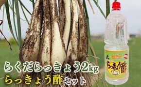 327.【先行予約】朝堀りらくだらっきょうと老舗のらっきょう酢セット　※5月中旬～6月下旬頃に順次発送予定 313726_AN082
