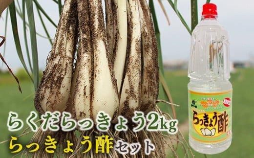 y挧khz327.ys\zx炭傤ƘV܂̂傤|Zbg@5{`6{ɏ\ 313726_AN082