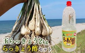 328.【先行予約】朝堀り玉らっきょうと老舗のらっきょう酢セット　※5月中旬～6月下旬頃に順次発送予定 313726_AN083