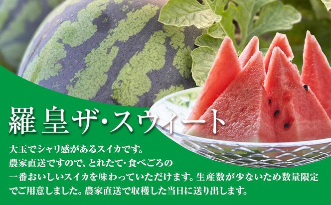 【2026年産先行予約】大玉スイカ『羅皇ザ・スウィート』（こちらの西瓜は大栄西瓜ではありません） ◇2026年7月上旬～7月中旬頃に順次発送 313726_BE001